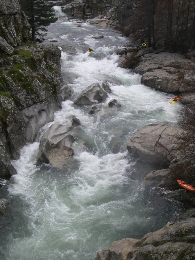 goloht066