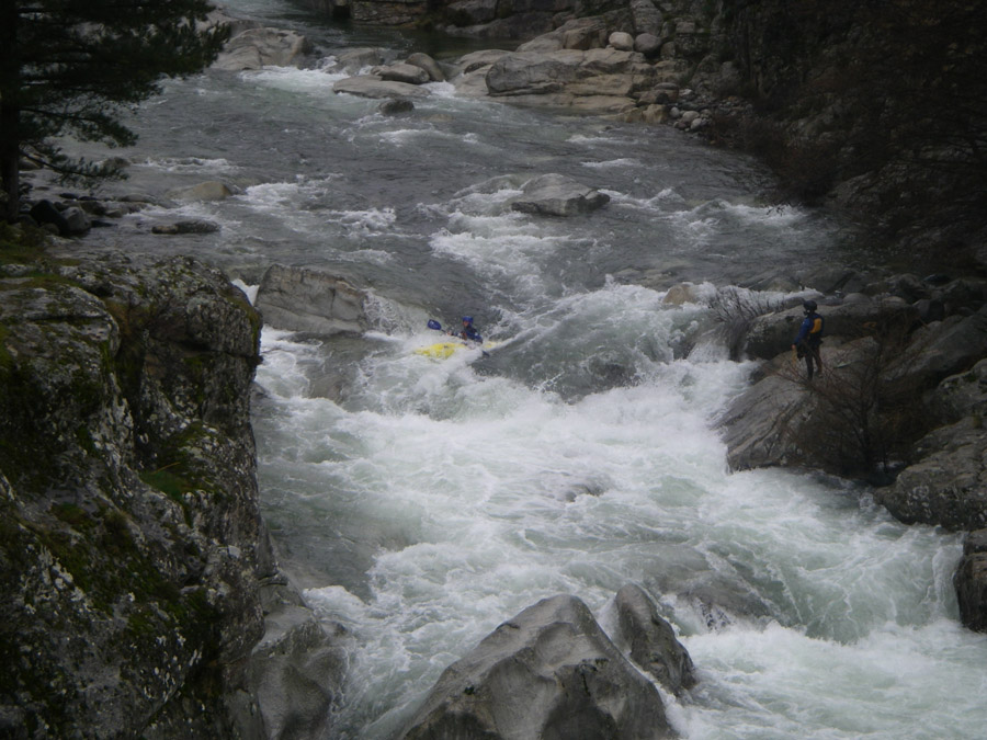 goloht071