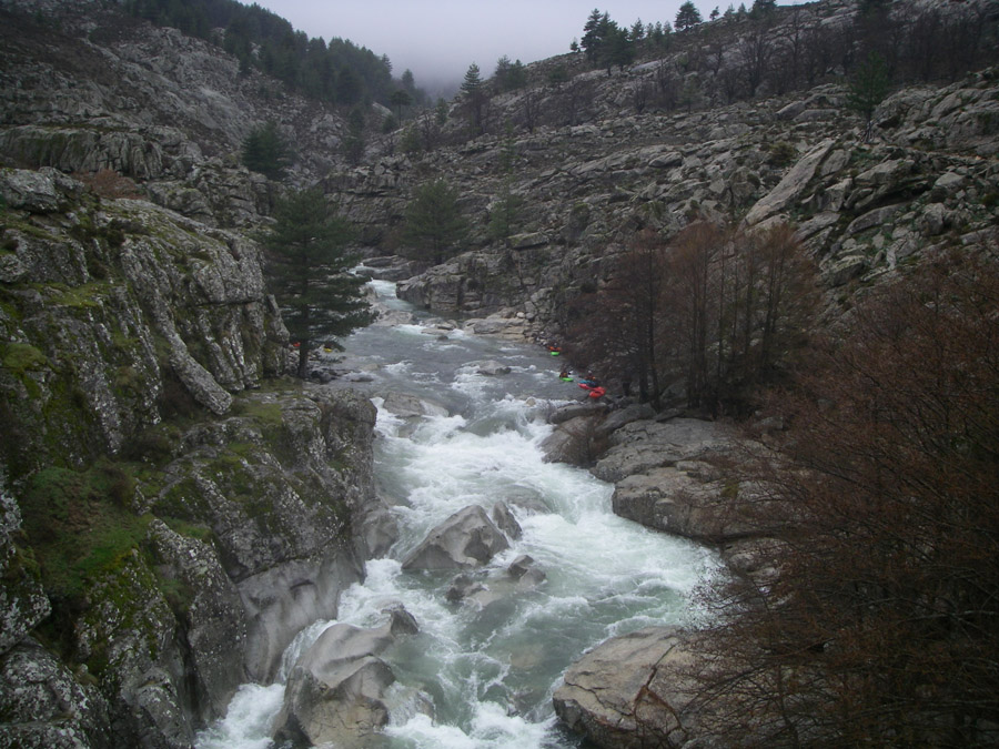 goloht085