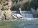 20170329_tavignano005