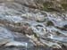 20170329_tavignano010