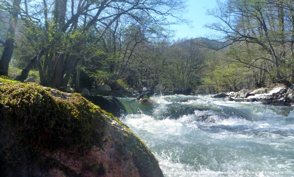 20170329_basgolo043